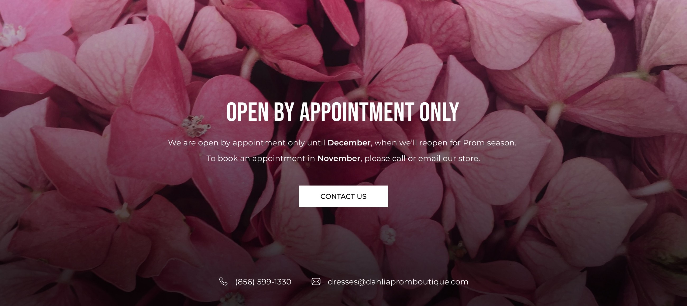 open by appointment only