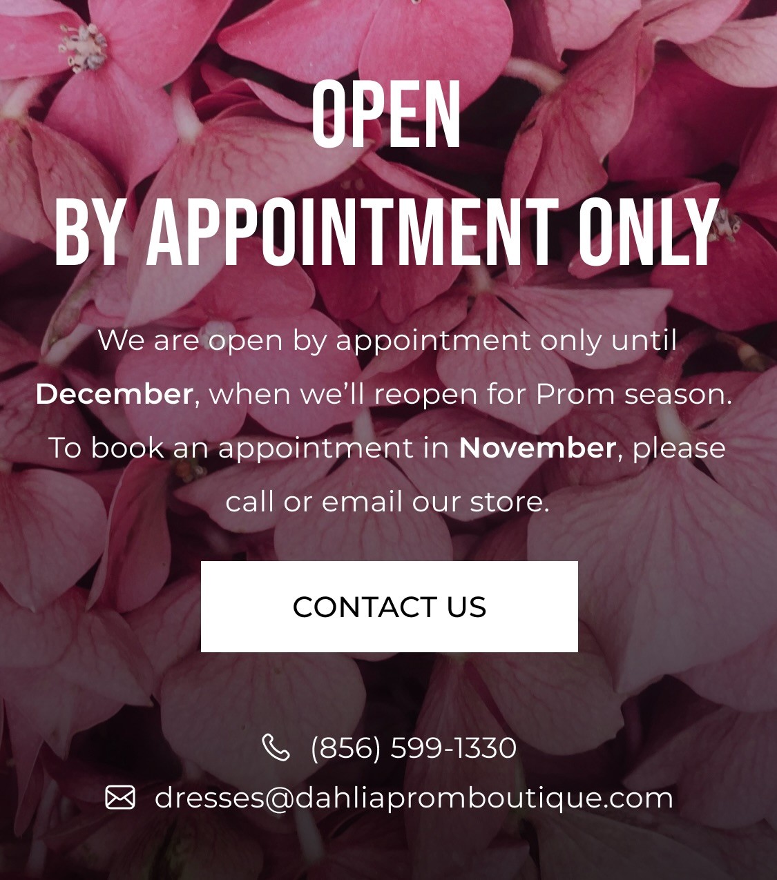 open by appointment only